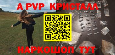 ECSTASY Кингисепп